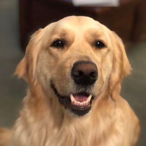 Meet your Posher, Krista